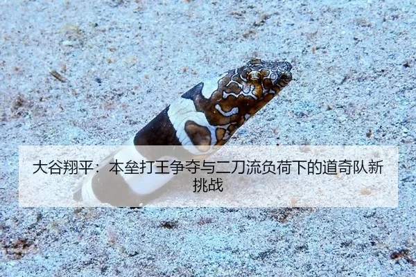 da-gu-xiang-ping-ben-lei-da-wang-zheng-duo-yu-er-dao-liu-fu-he-xia-de-dao-qi-dui-xin-tiao-zhan-3-221.jpg
