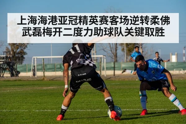 上海海港亚冠精英赛客场逆转柔佛武磊梅开二度力助球队关键取胜